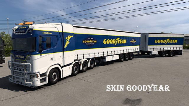 Skin goodyear
