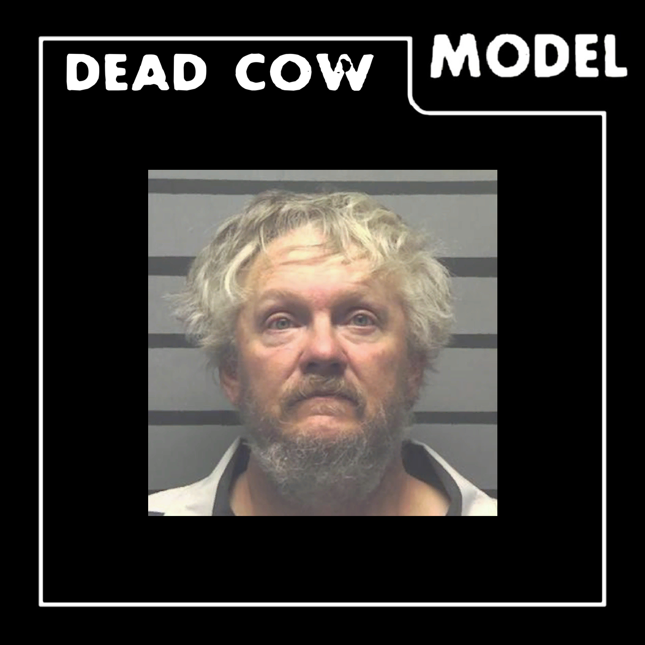 Dead Cow Model: My Dad's Mugshot Cube
