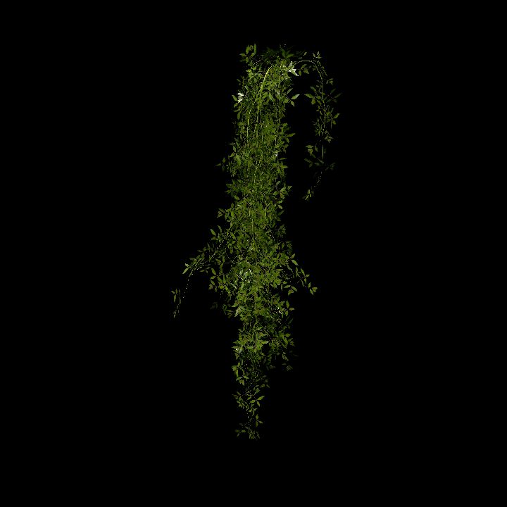 Hanging plants_02