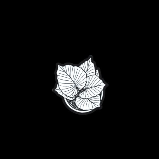 Planter 7