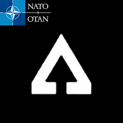 NATO Assault
