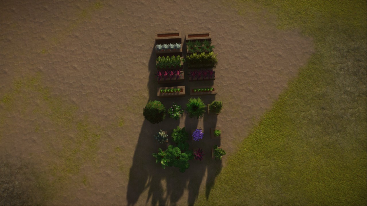 植物盆栽 Plants in pots preview