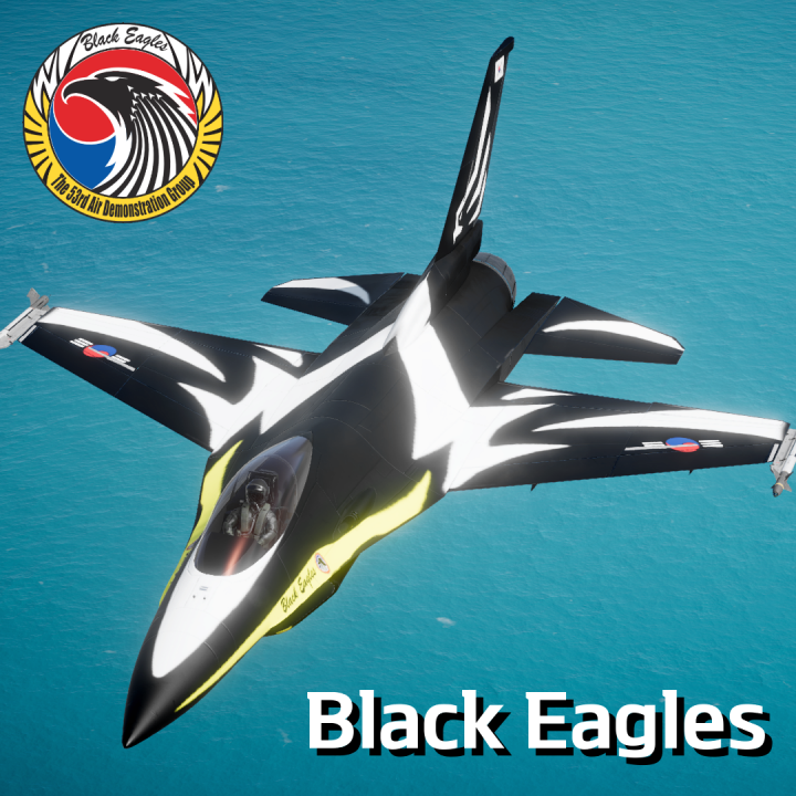 F-16M _ ROKAF Black Eagles