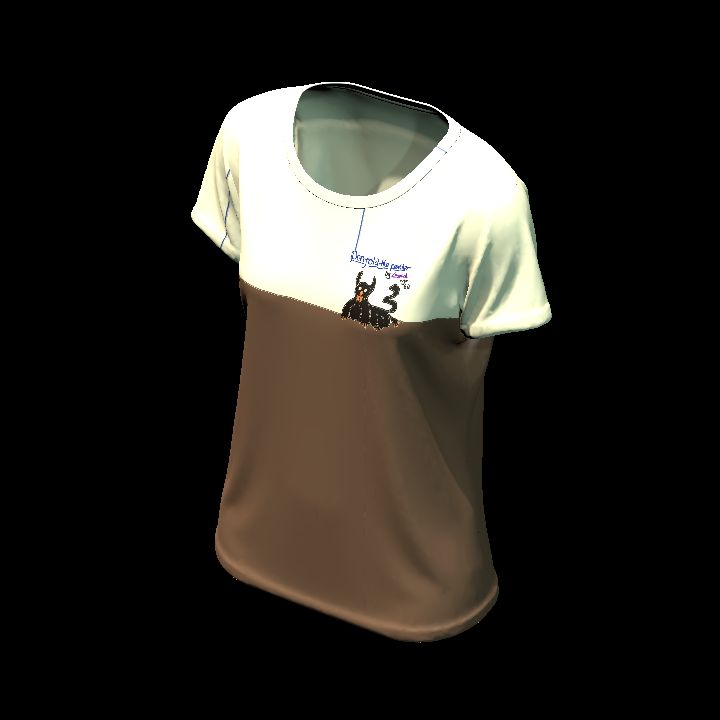 Shirt customised 19