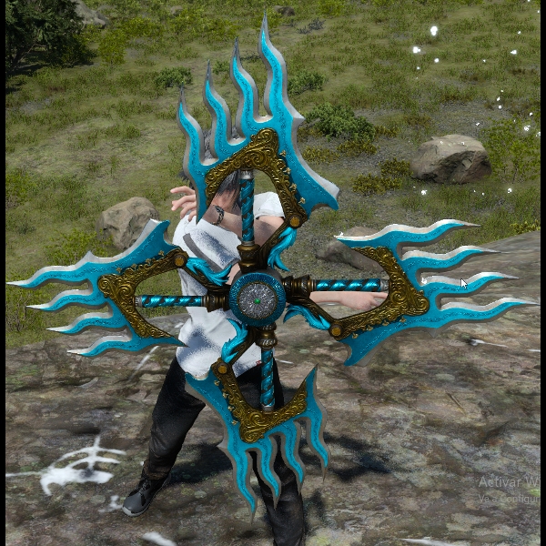 We05 ICE