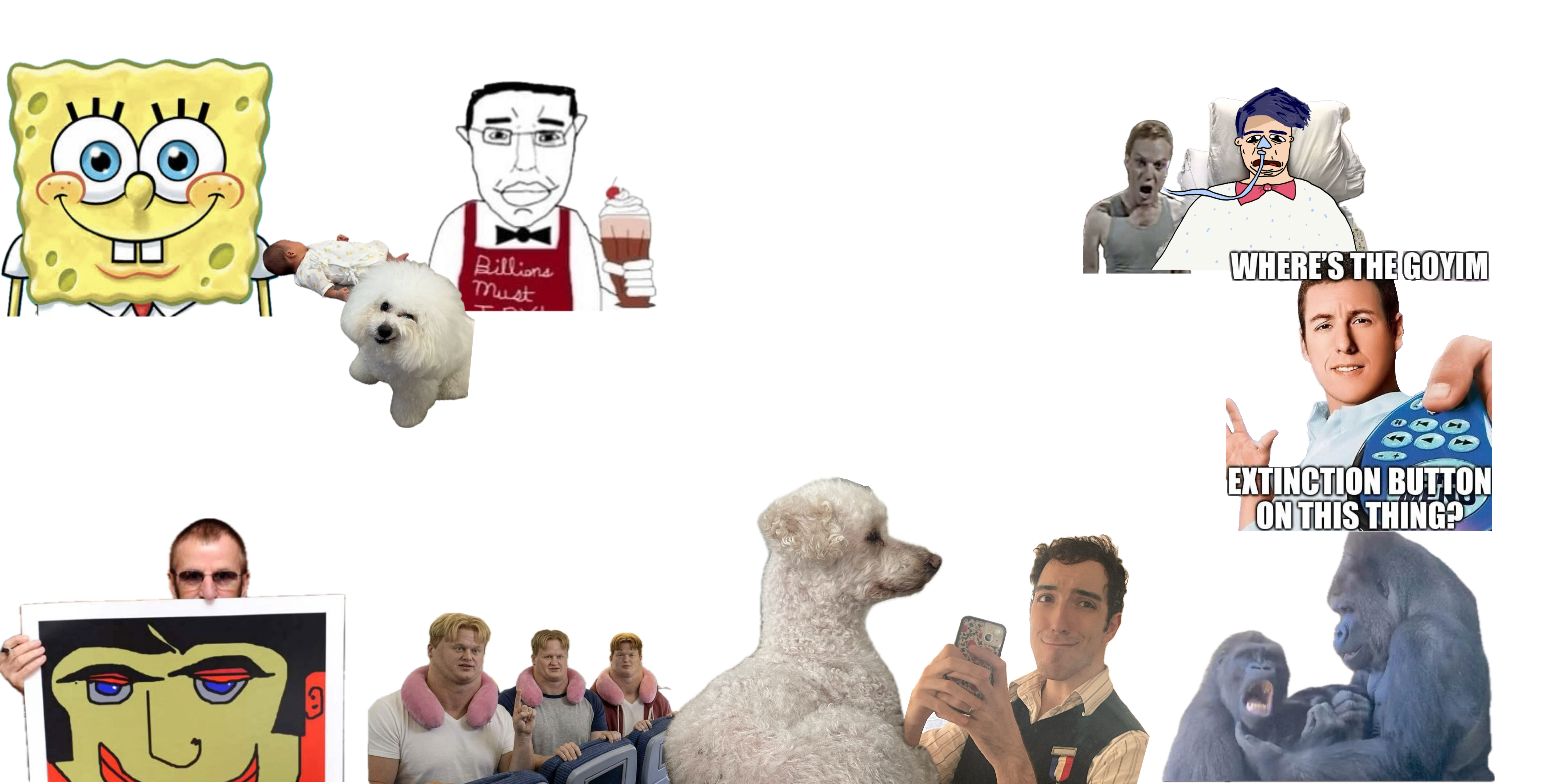 Cammap8