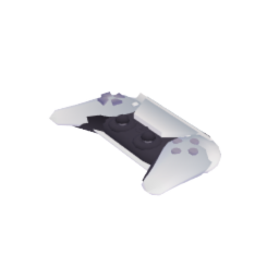 PS5 Controller