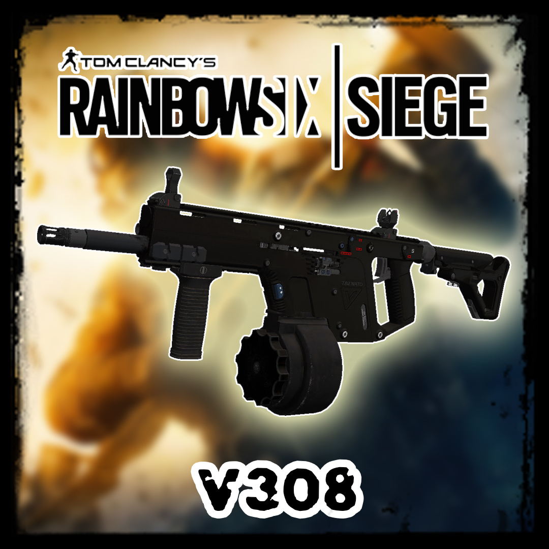 Rainbow Six Siege : V308 [M16]