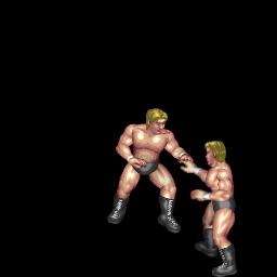 Frankensteiner Whip