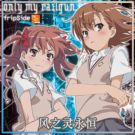 only my railgun