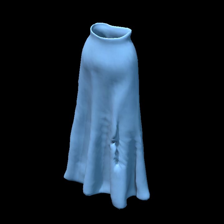 Long skirt 13