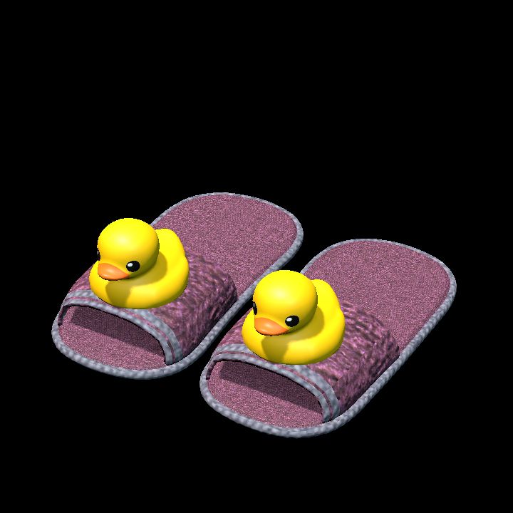 Duck slippers 2