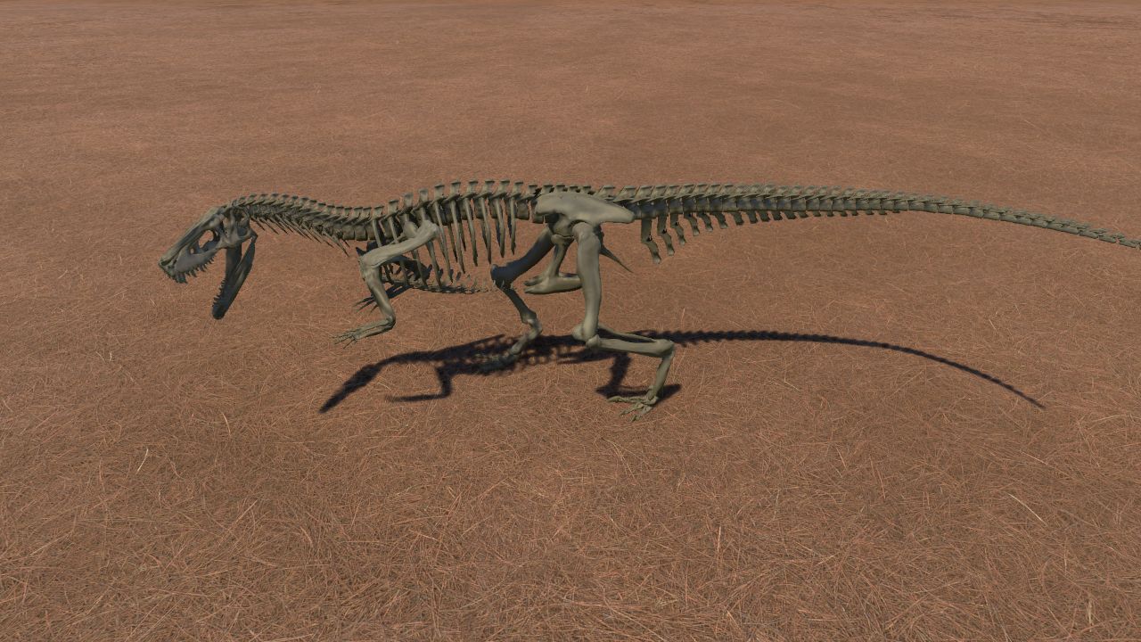 Herrerasaurus Skeleton 