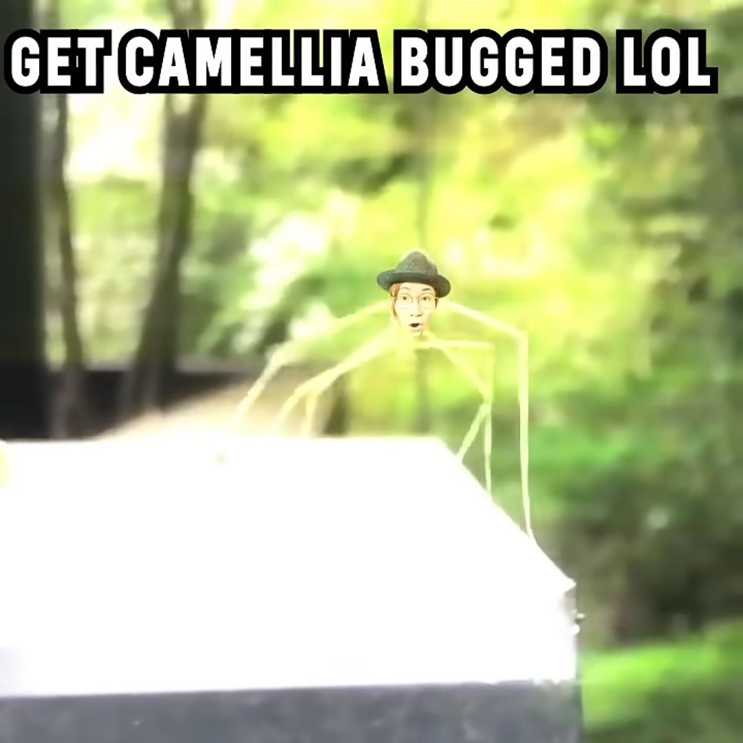 GET STICK BUGGED - Camellia