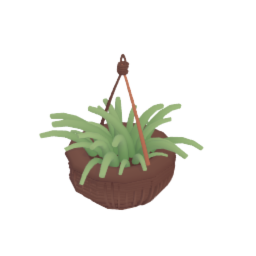 Hanging spider plant