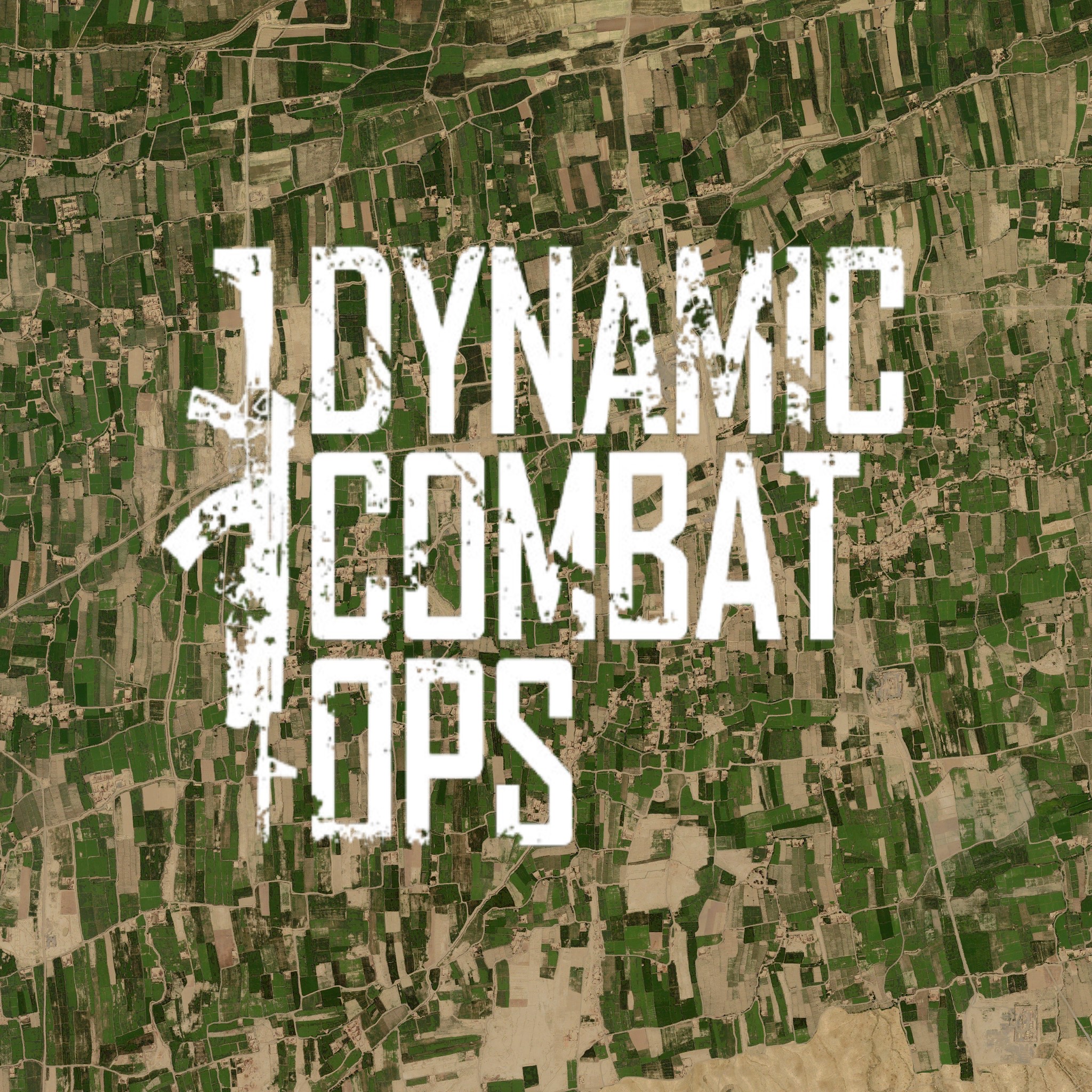 Dynamic Combat Ops - Anizay