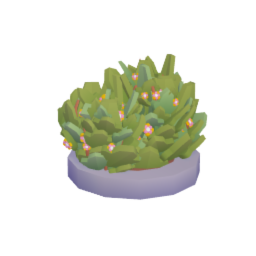 City Flowering Bush