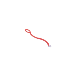 leash