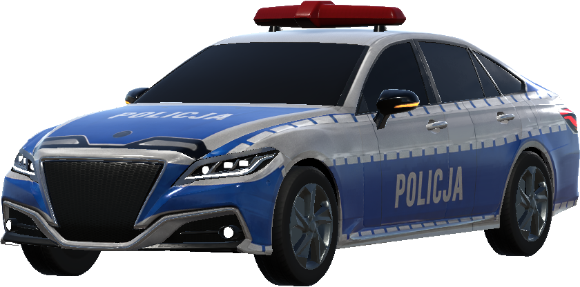 Polska POLICJA