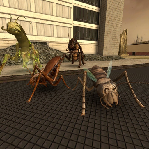 KAYF LIFE 2026 Roaches Antlions replacement