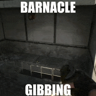 Barnacle Gibbing