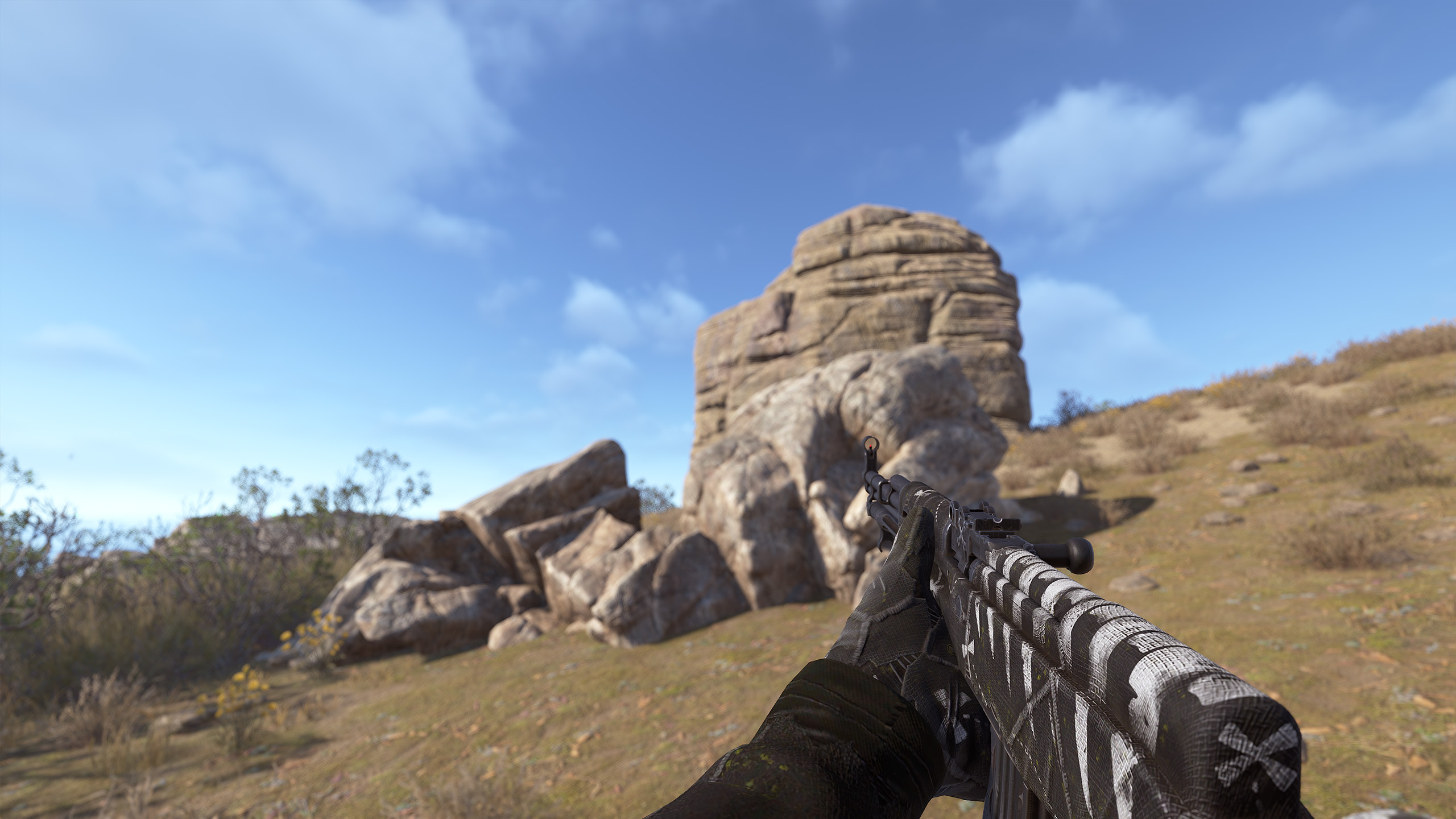 Pirate SKS thumbnail 10