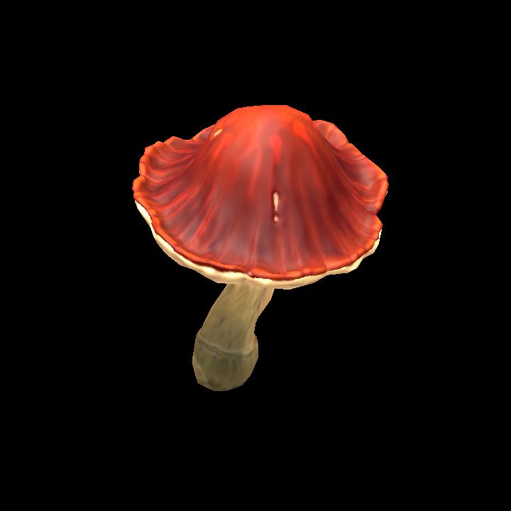 Mushroom_02