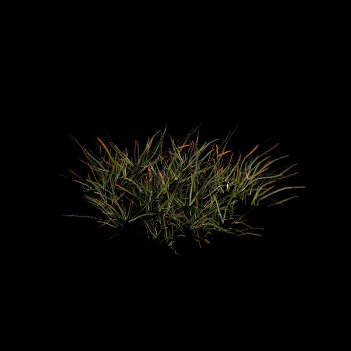 Nature, Grass, Tundra 7