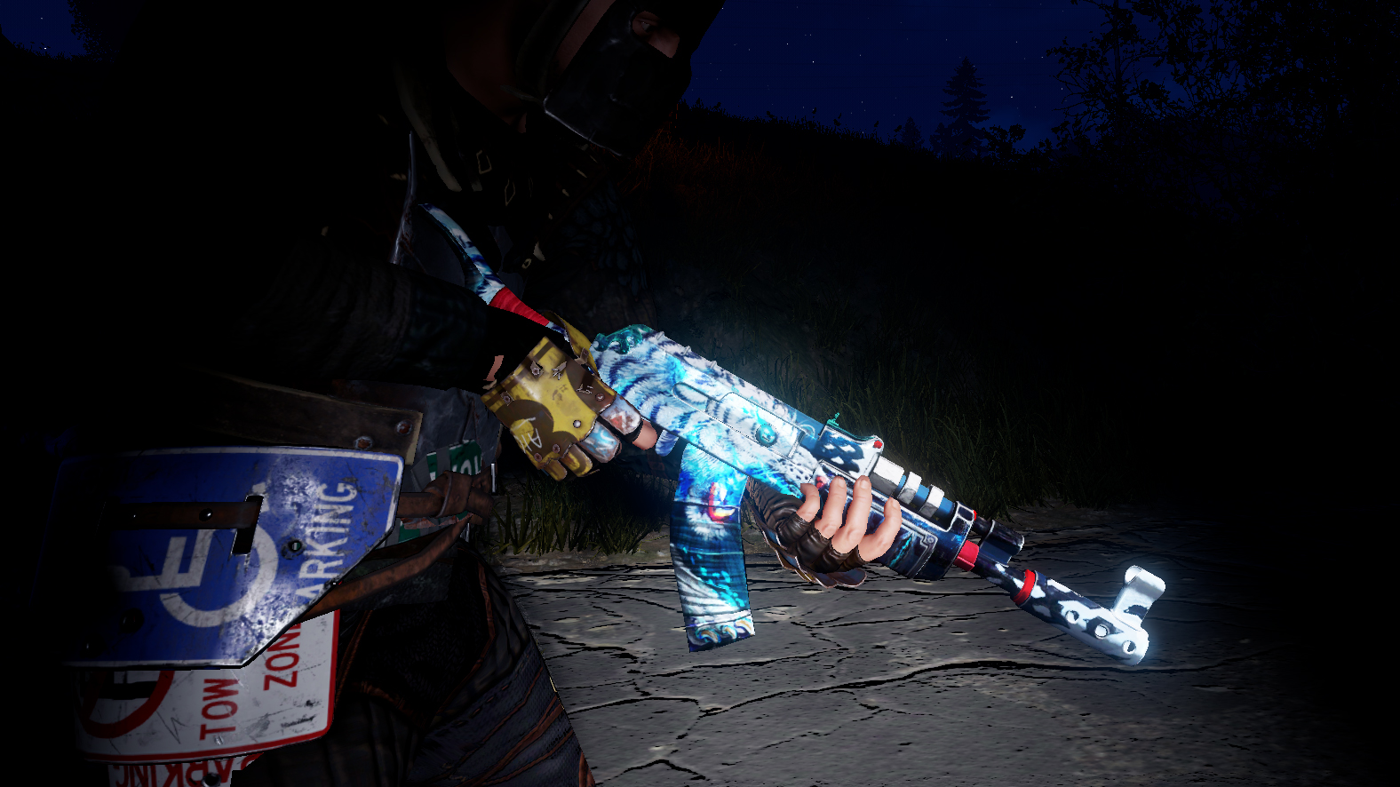 Wild Spirit AR