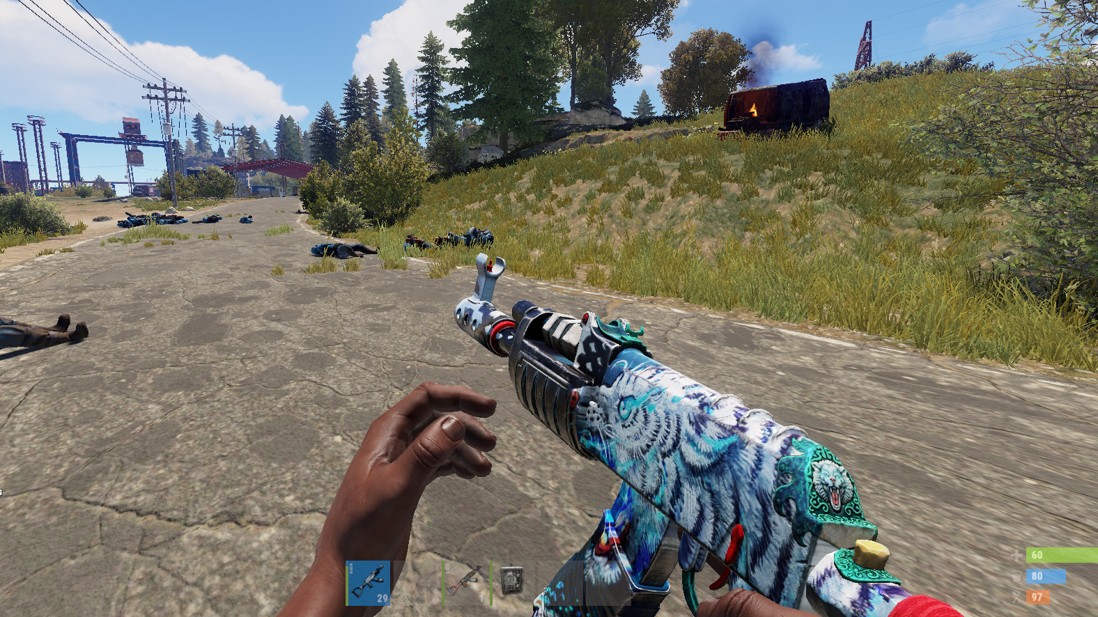 Wild Spirit AR