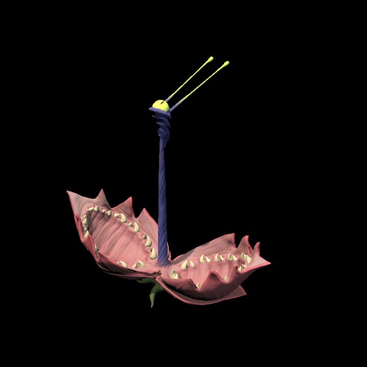 Fey_Plant (9)