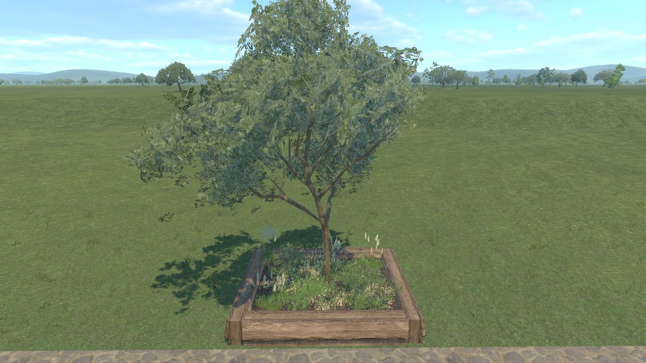 Small Planter Grassland 01