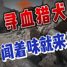 寻血猎犬