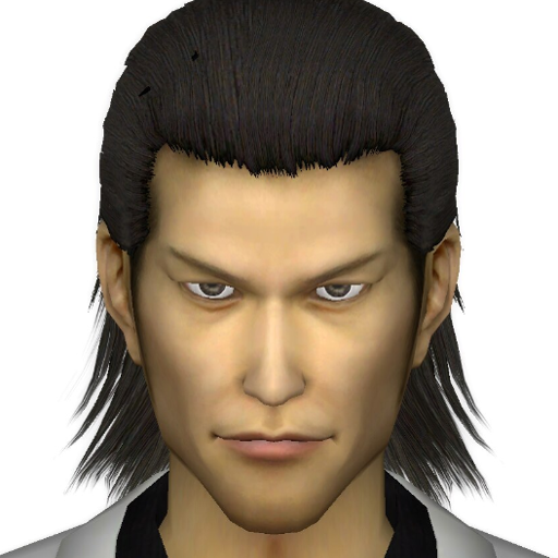 [RAGDOLL/PM] PS2 Akira Nishikiyama
