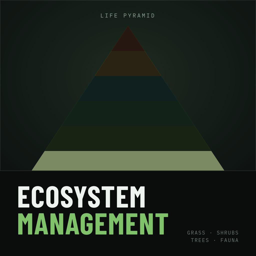 Ecosystem Management