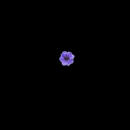 Purple Flower 3