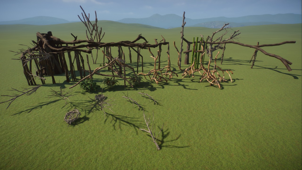 Trees and branches