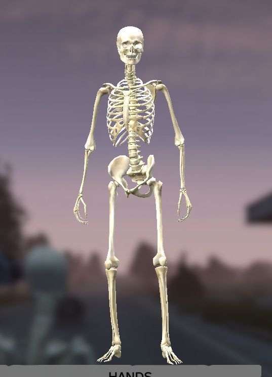 DigZ_SkeltonZ_ARMOR