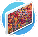 Maple Dance Canvas