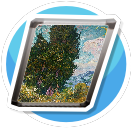 Cypresses