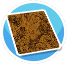 Brown gold Paisley rug