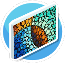 Colorful Canvas