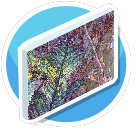 Leaf painting 2