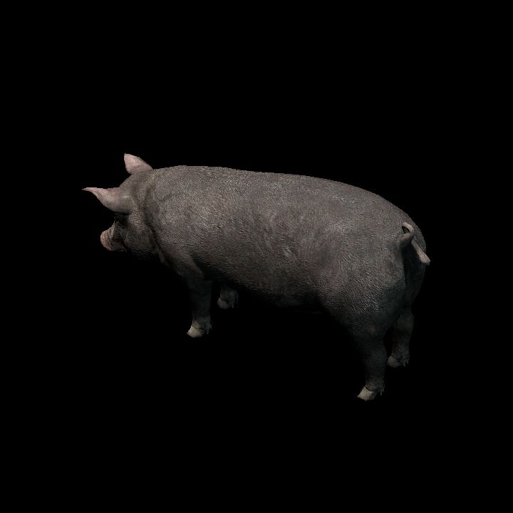 Pig #2 lowpoly