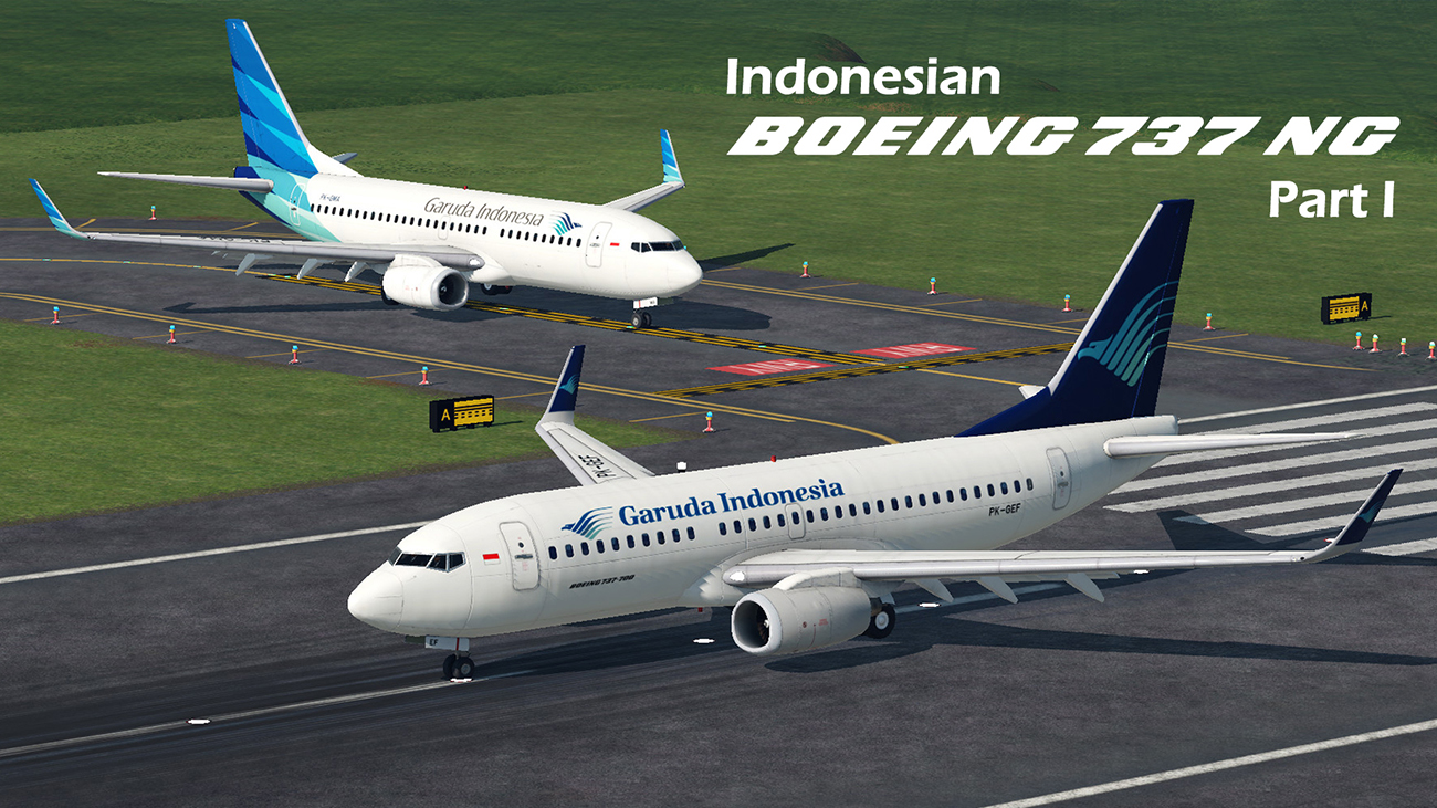 Indonesian Boeing 737 Next Generation - Part 1 preview