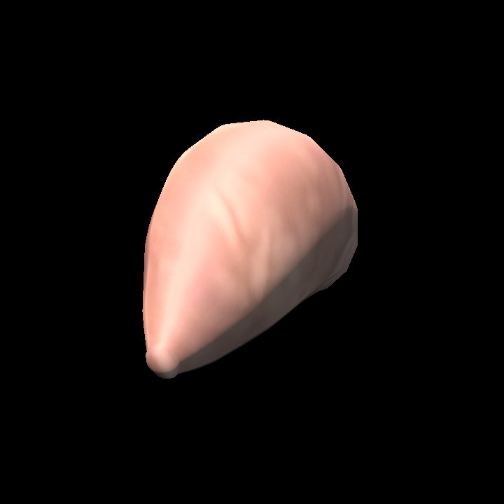 Flesh Bug Body 1