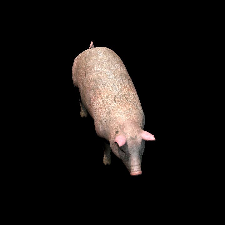 Pig #1 lowpoly