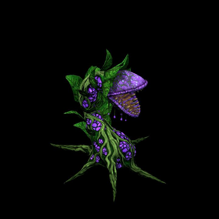 Monster Plant