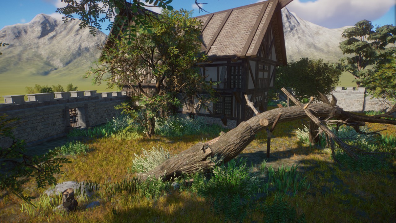 Lion Habitat