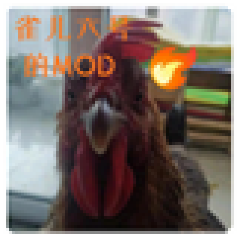雀儿六号的小巧思 – Terraria Mod